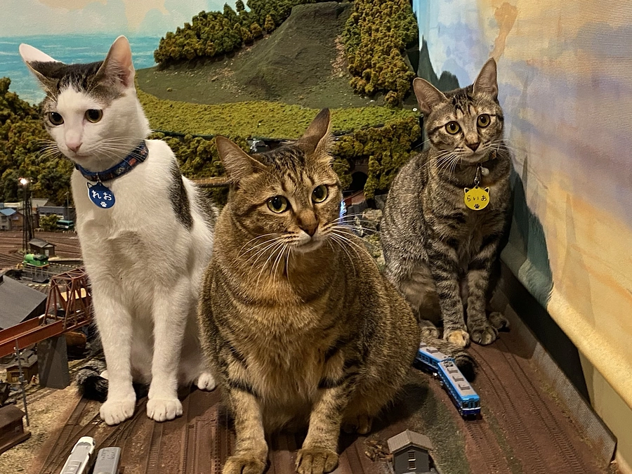 Methods of supporting crowdfunding