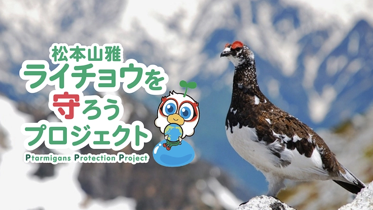 ガンズくん10周年|松本山雅「ライチョウを守ろうプロジェクト」