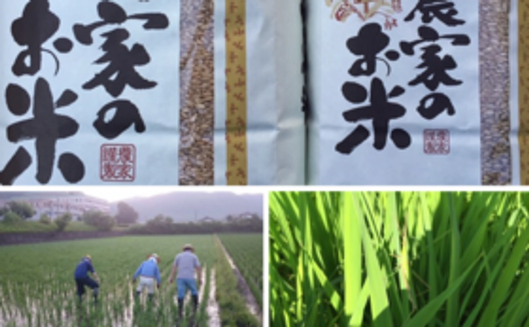 農薬化学肥料除草剤不使用　玄米【春陽】2㎏