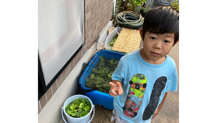 サッカーのプロ選手を目指しながらオリジナルめだかの開発に挑む