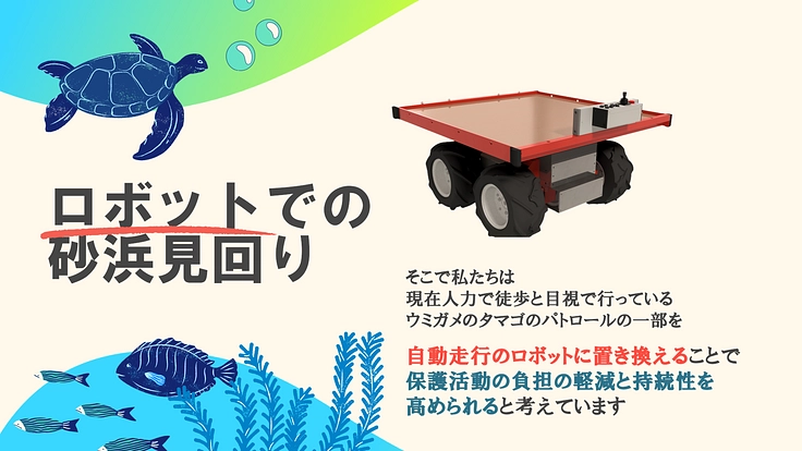 【人とロボットの共存】ロボットを活用したアカウミガメの保護活動 6枚目