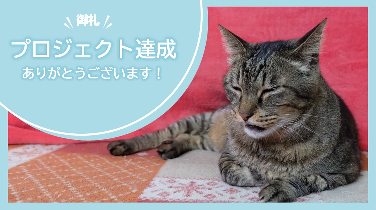 【御礼】プロジェクト達成ありがとうございます！