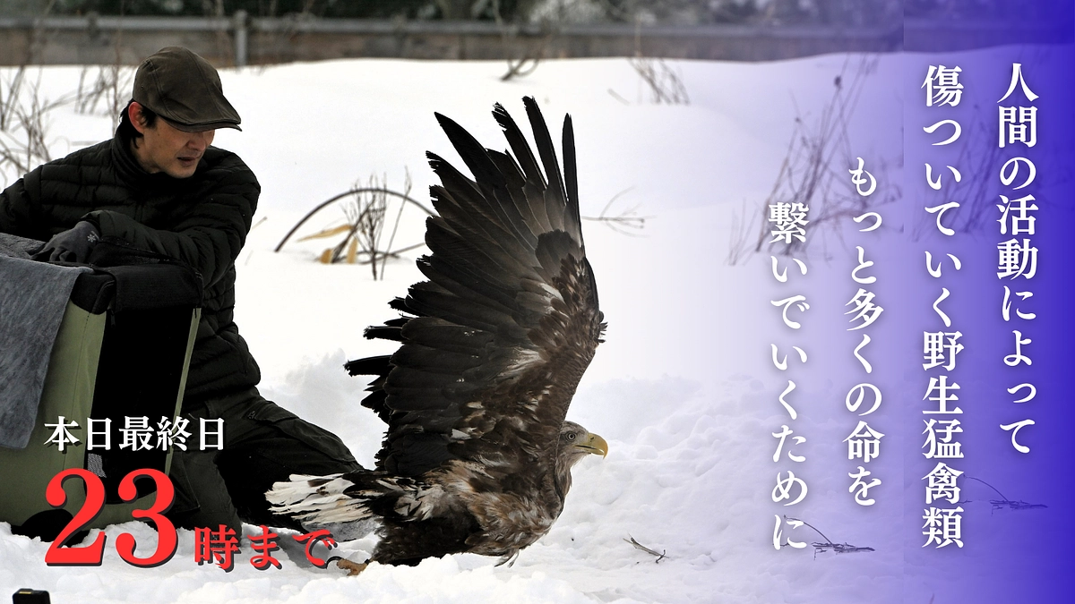 本日最終日23時まで！