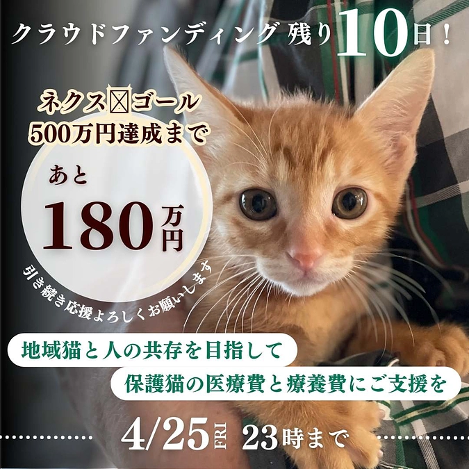 あと10日・・・・！！！