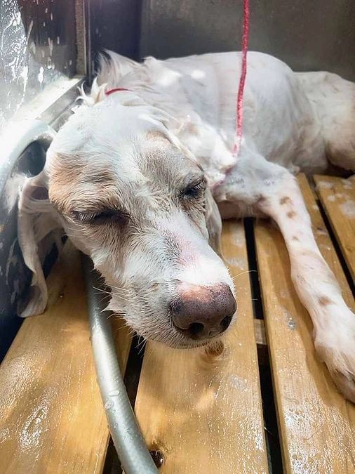 最終目標へ向けて‼️