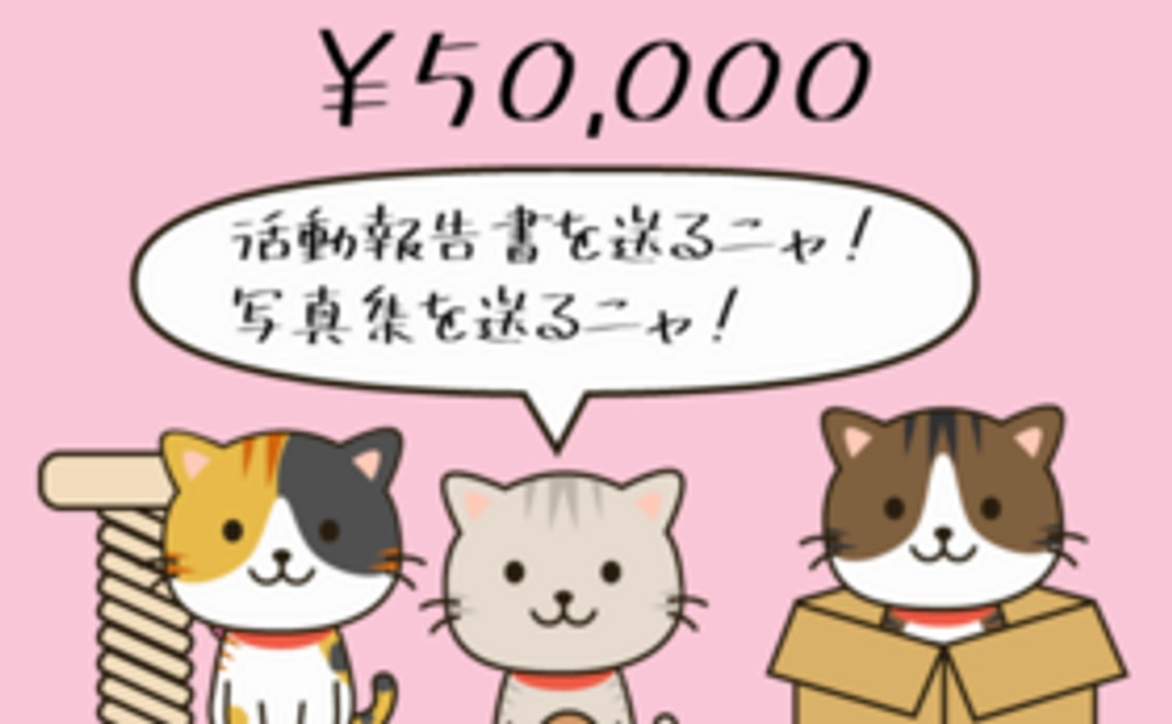 5万円支援