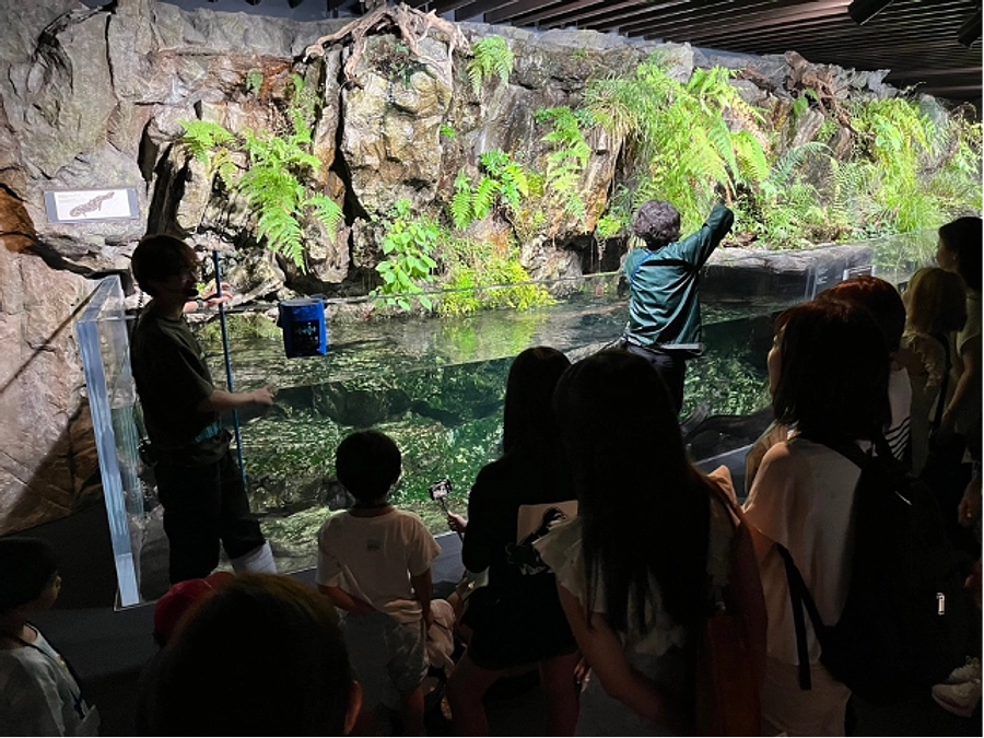 京都水族館AQTION!サンクスイベントに招待されました（7/25）
