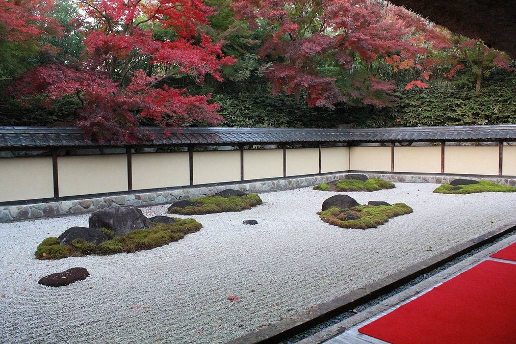 本日からクラウドファンディングを始めます！