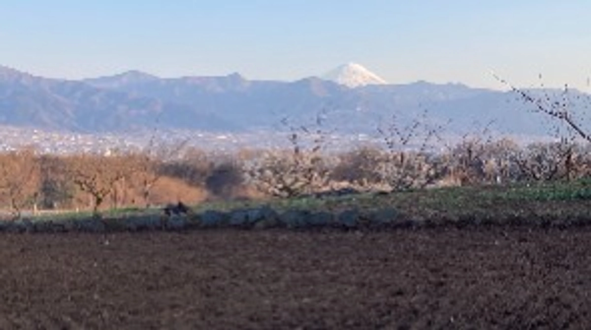 耕作放棄地から始まる挑戦：新圃場プロジェクト、進行中！