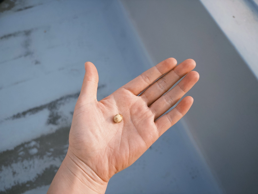 生活と展示について