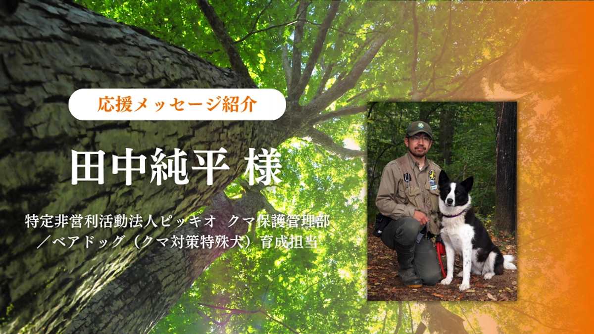 『クマが棲める森へ』私たちの指針とピッキオベアドッグ育成担当田中純平様より応援コメントのご紹介