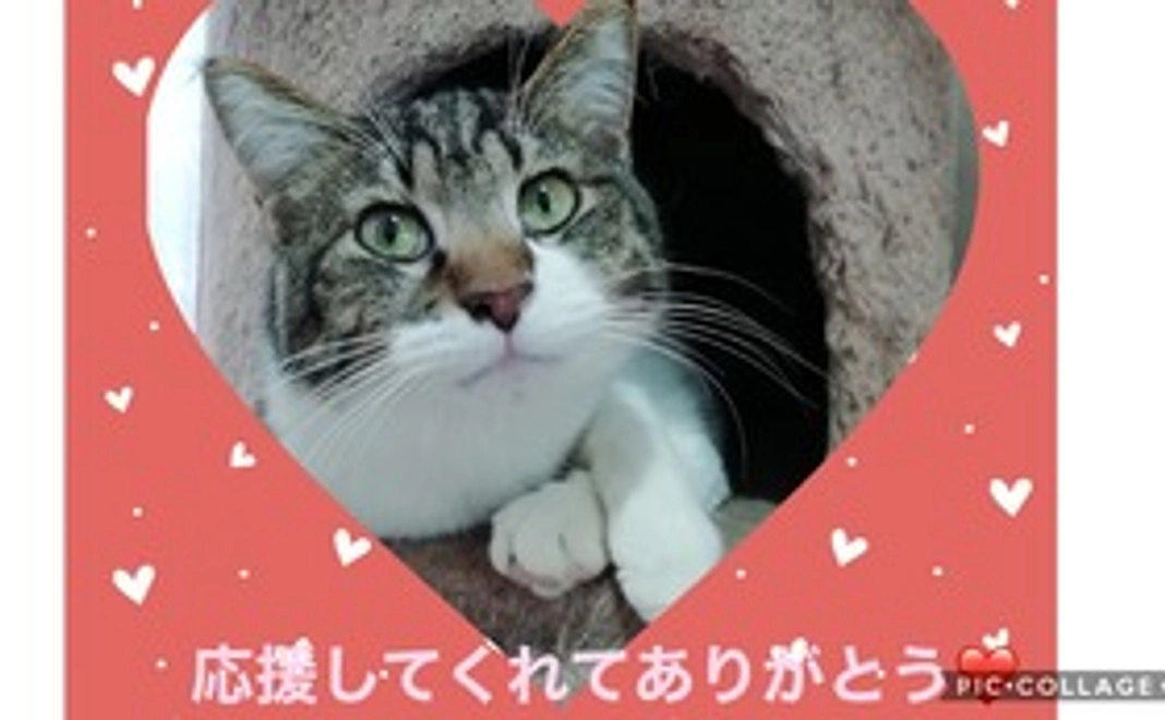 ☆感謝のメール☆