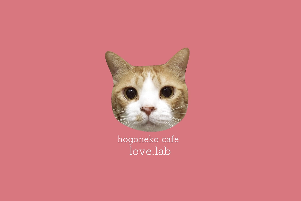 リターンの発送が終わりました。