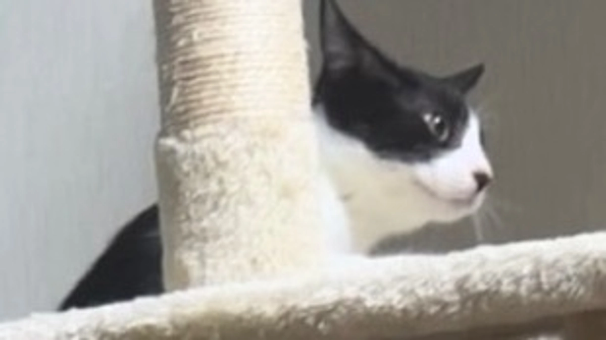 10月27日 〜 リハビリ経過報告③ 〜保護から66日目