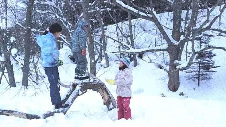 明るい未来を創り出す子どもの育ちの場！シュタイナー教育への奨学金を