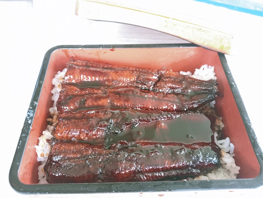 日本食サンプル