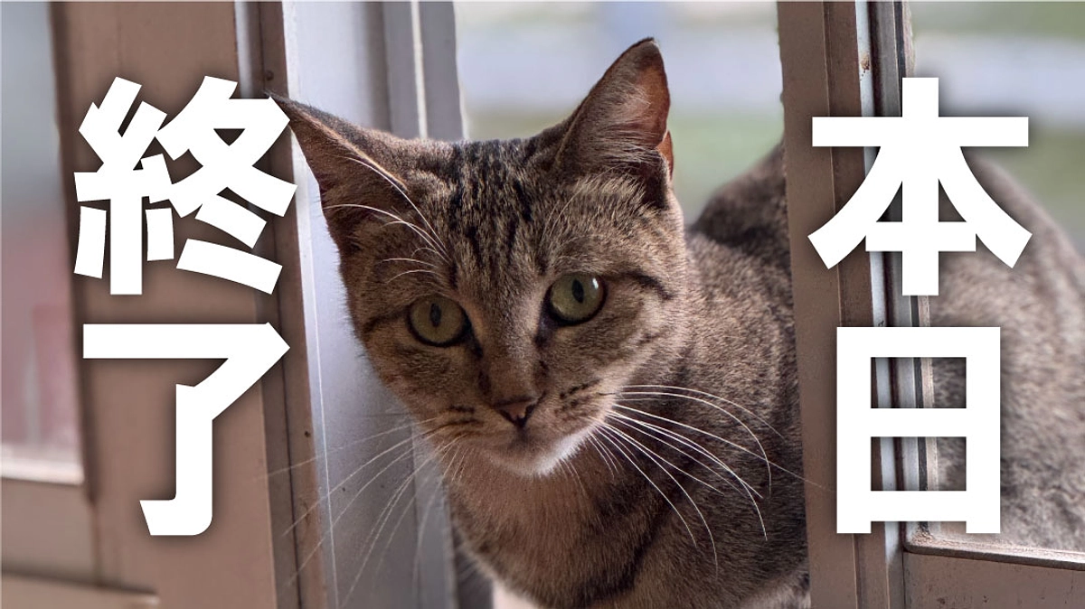 【本日終了】ついに最終日！