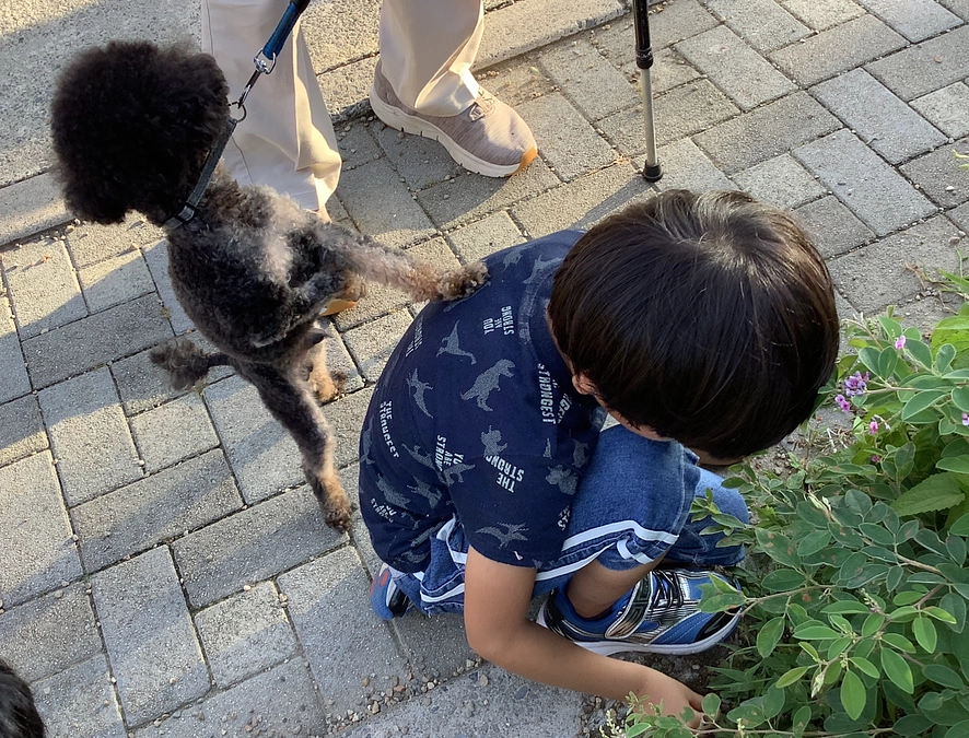 Bremenに1日1食しか食べない子がいるって信じられないでしょう？