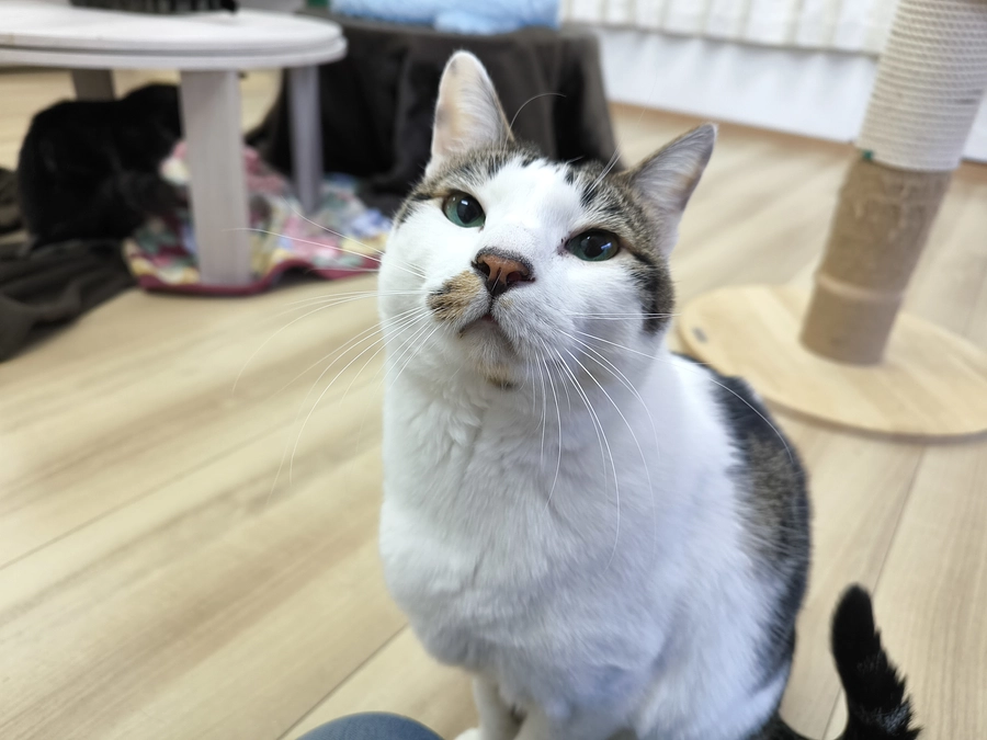 これからの動物福祉や人の福祉