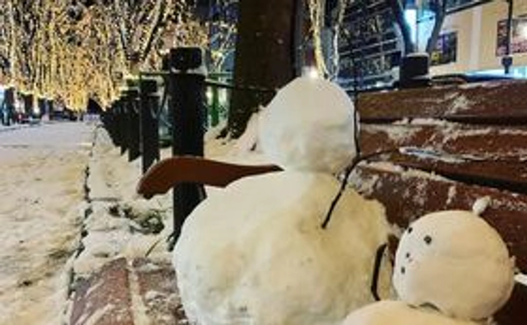 プロジェクト応援プランA