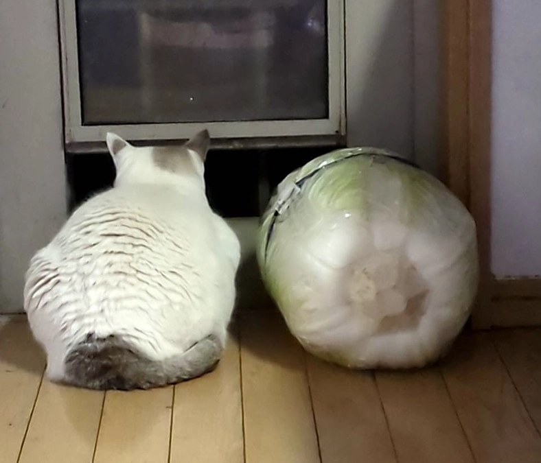 リターンのお品物の送付が完了いたしました。