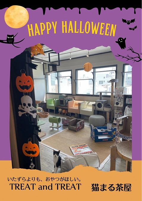 HALLOWEENは猫まる茶屋へ