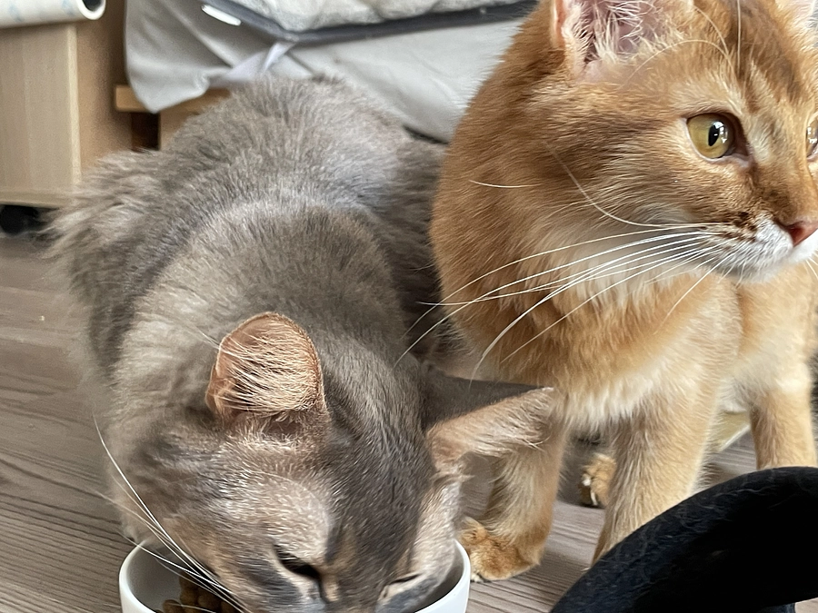 ★2023年10月12日：投薬23日目★