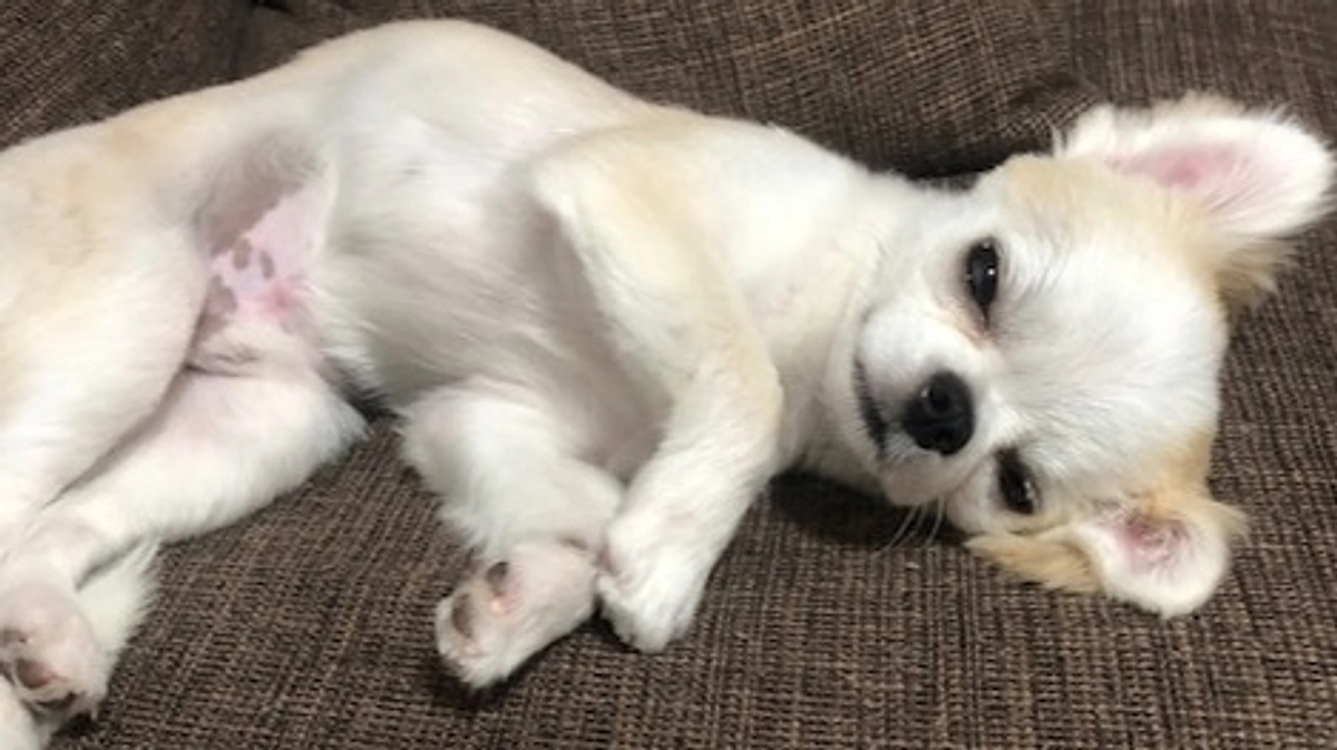 ”術後の経過報告⑭”です。