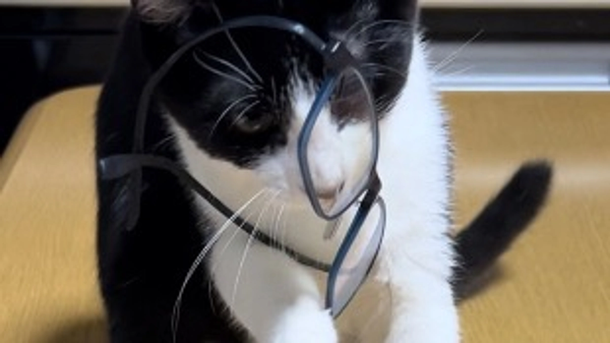 11月11日 〜 日常報告⑨ 〜保護から81日目