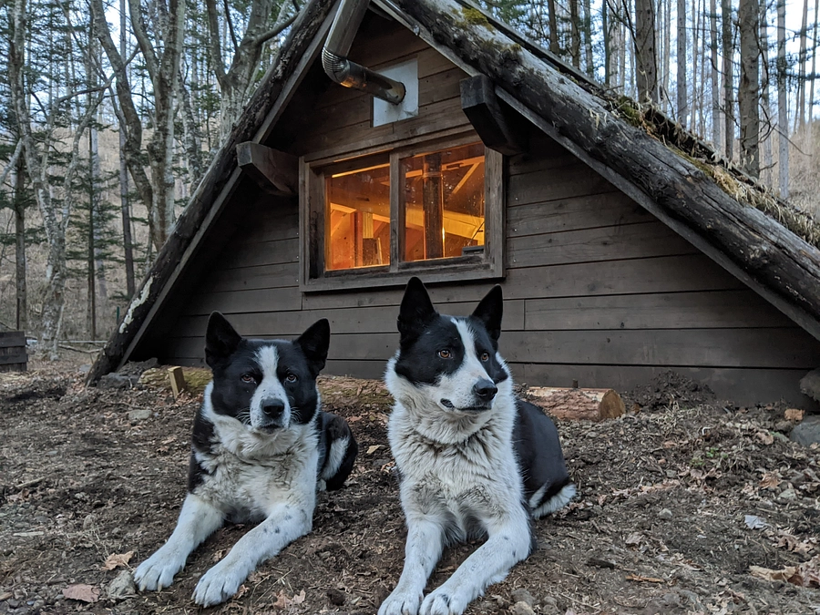 お礼メッセージ：開始20日目で支援者400名に到達！　繁殖小屋の復旧作業を開始しました。