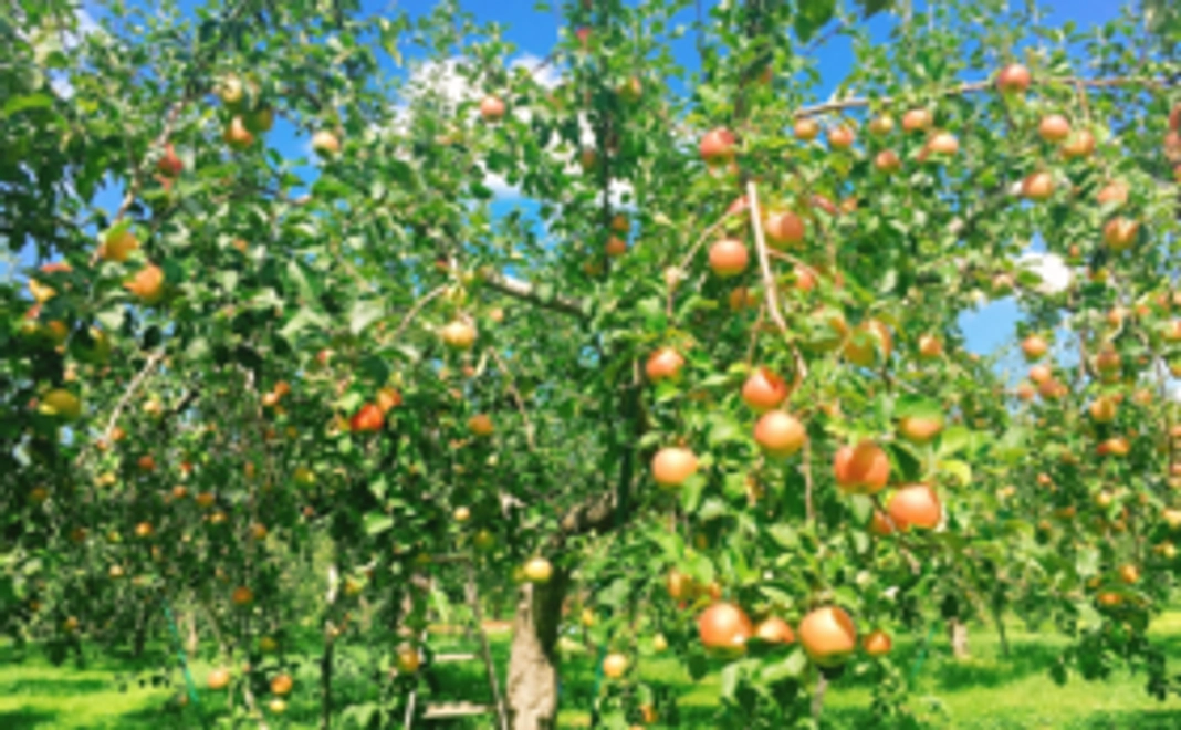 【とにかく応援!】2人を応援してくださる方へ…