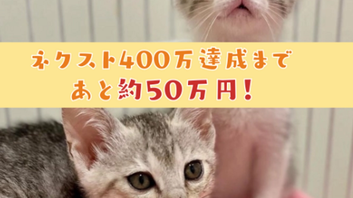 第6弾プロジェクト【残り7時間！ 】ここまでどうもありがとうございます！！