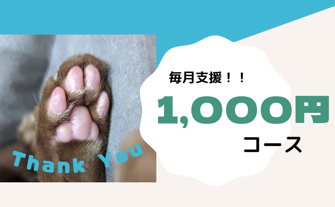 1回分の検便代になります！