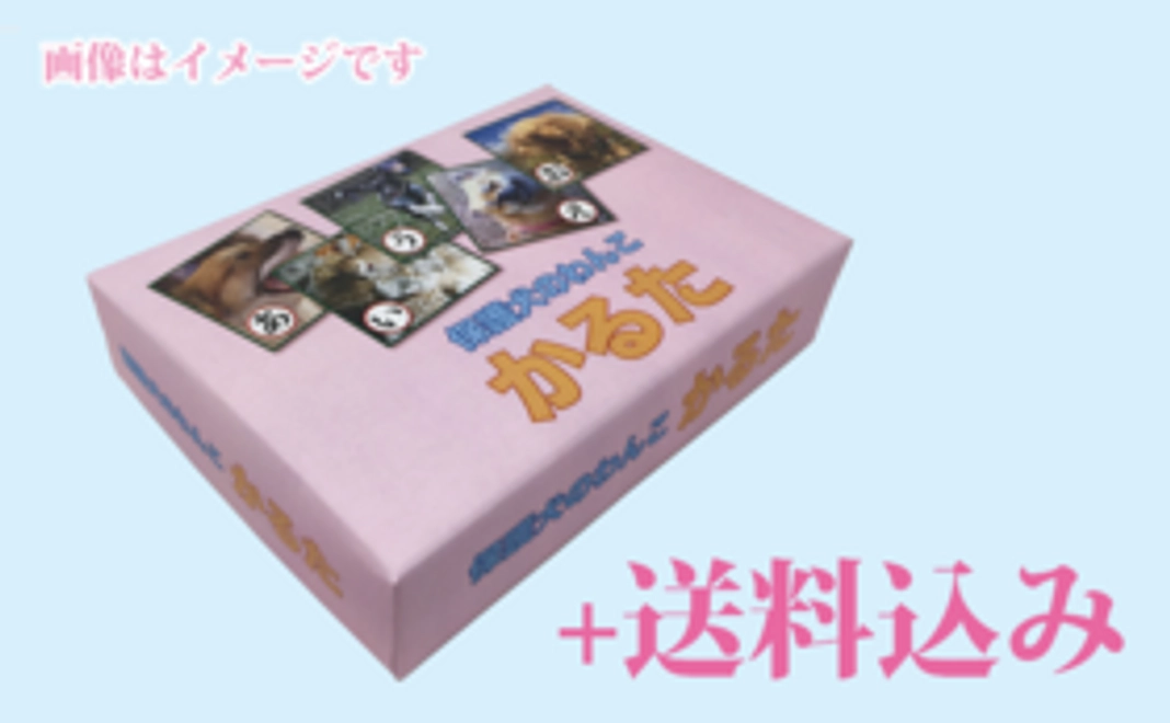 かるた1個コース