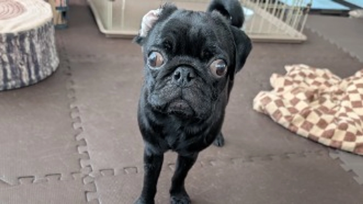 残り7日!ネクストゴール挑戦中です!