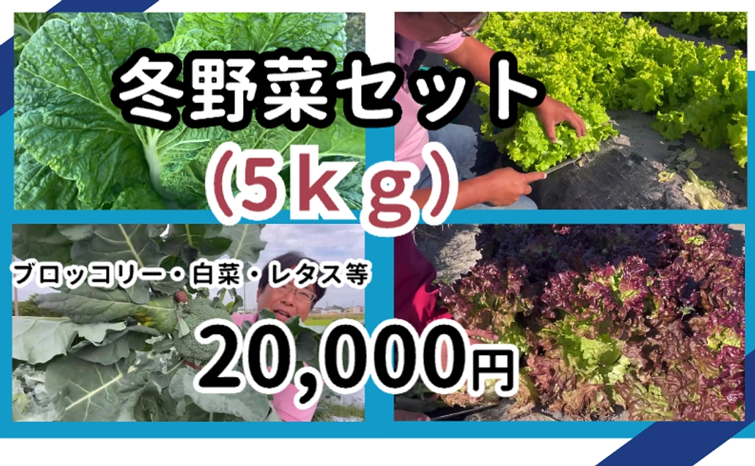 冬野菜セット（5ｋｇ）