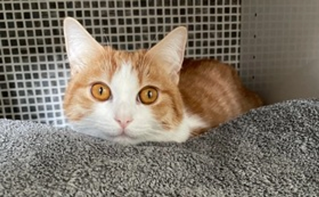 5,000円支援コース