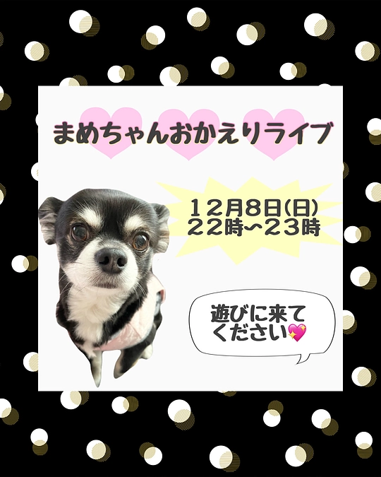 ライブのお知らせ