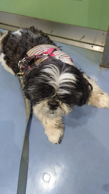 残り18日となりました。