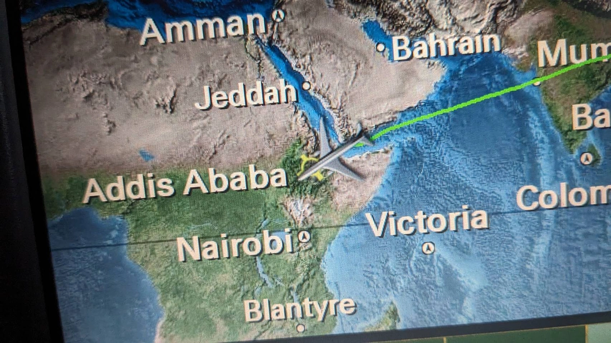 【あと10日！】飛行機で寝て起きたら100万いってた【アディスアベバから大感謝】