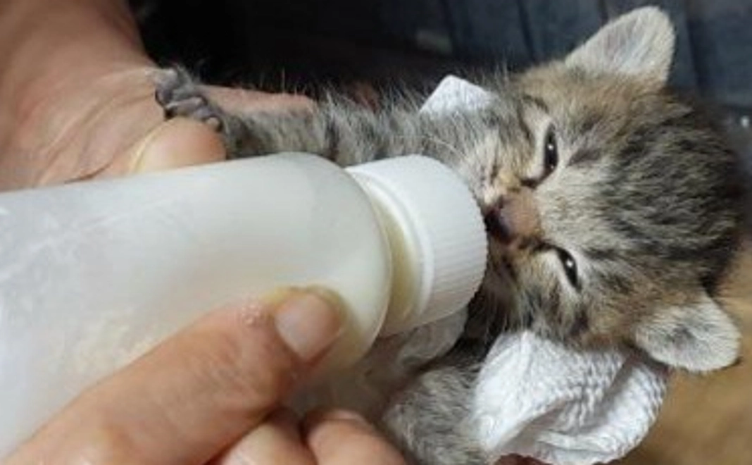 小さな、おくりもの…