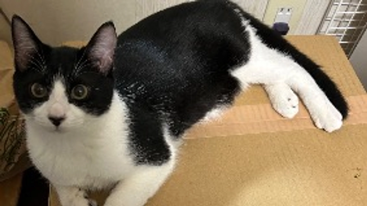 リターン進捗のご報告