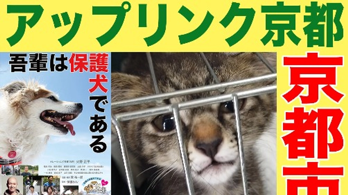京都での映画「吾輩は保護犬である」の上映が決まりました！！