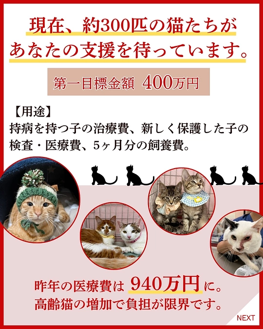 現在、クラウドファンディングに挑戦中です💪