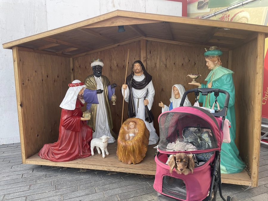 ノア無事4歳になりました。