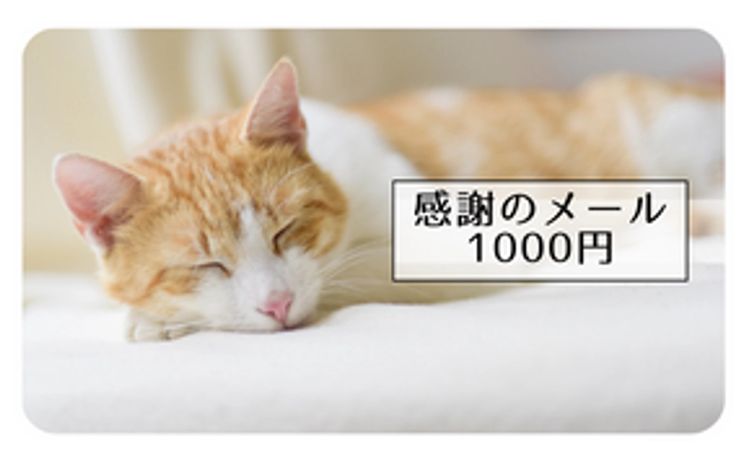 【感謝のメール】1000円
