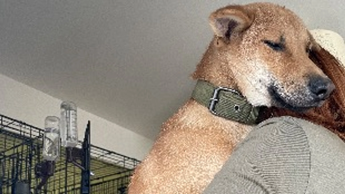 応援ありがとうございます！