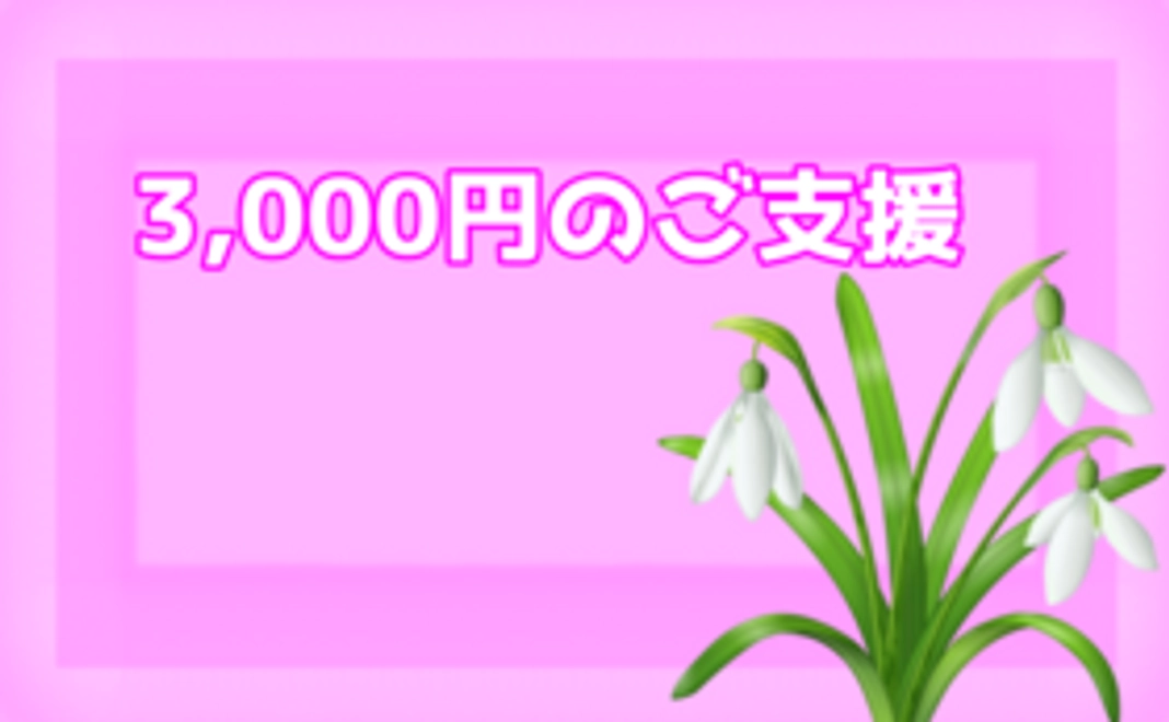 3000円のご支援