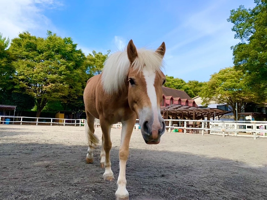 （10）神奈川県内児童養護施設
