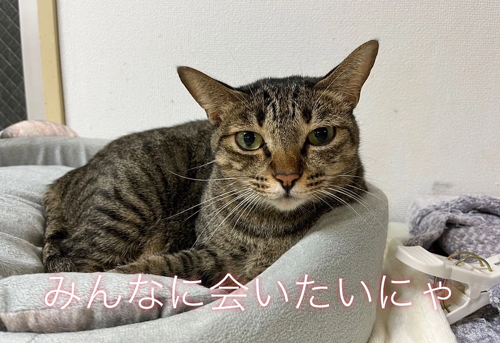 恥ずかしがり屋さんが降りて来ました！